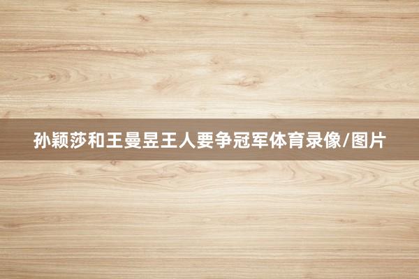 孙颖莎和王曼昱王人要争冠军体育录像/图片