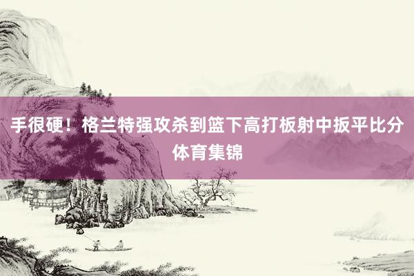 手很硬！格兰特强攻杀到篮下高打板射中扳平比分体育集锦