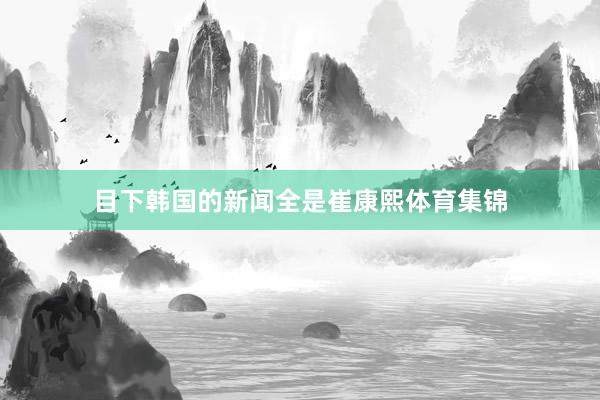 目下韩国的新闻全是崔康熙体育集锦