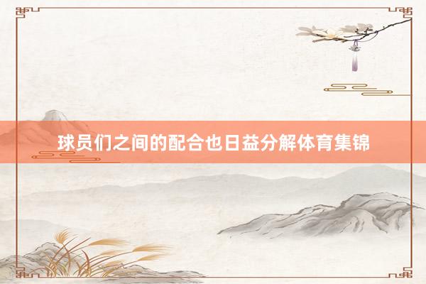 球员们之间的配合也日益分解体育集锦