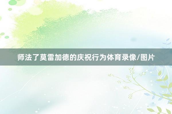 师法了莫雷加德的庆祝行为体育录像/图片