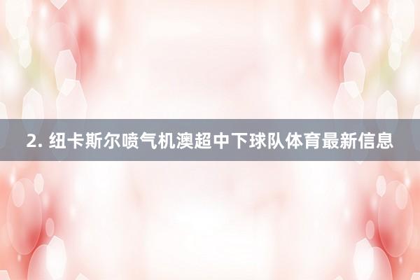 2. 纽卡斯尔喷气机澳超中下球队体育最新信息