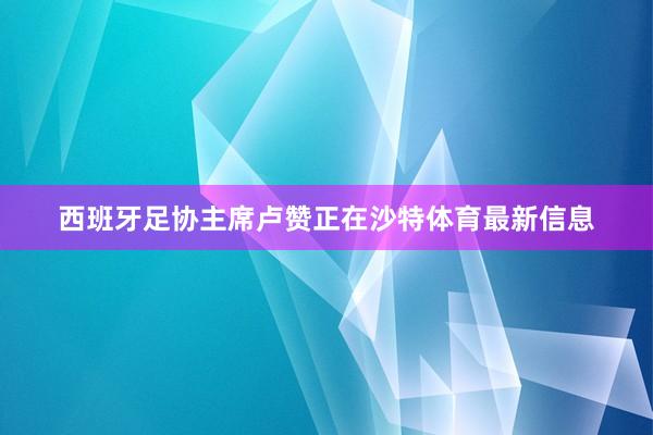 西班牙足协主席卢赞正在沙特体育最新信息