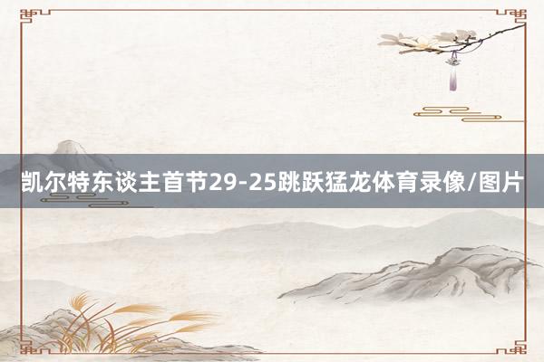 凯尔特东谈主首节29-25跳跃猛龙体育录像/图片