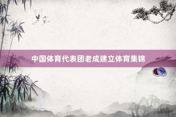 中国体育代表团老成建立体育集锦