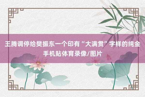 王腾调停给樊振东一个印有“大满贯”字样的纯金手机贴体育录像/图片