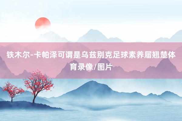 铁木尔-卡帕泽可谓是乌兹别克足球素养届翘楚体育录像/图片