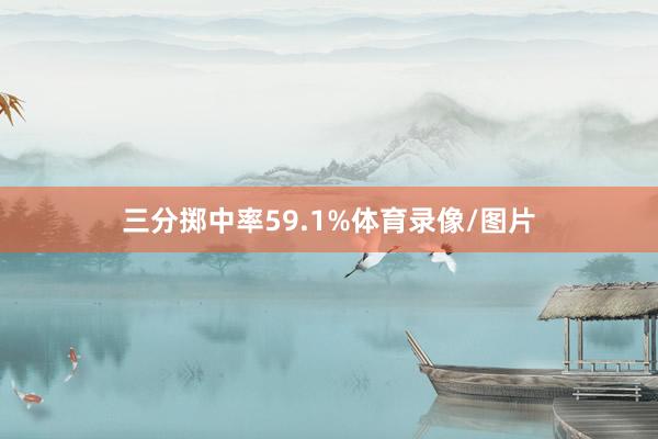 三分掷中率59.1%体育录像/图片