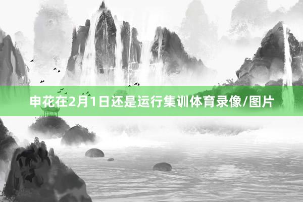 申花在2月1日还是运行集训体育录像/图片