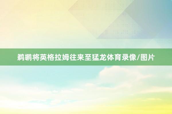 鹈鹕将英格拉姆往来至猛龙体育录像/图片