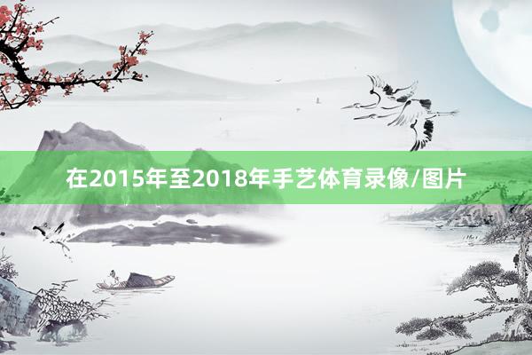 在2015年至2018年手艺体育录像/图片