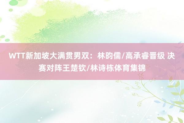 WTT新加坡大满贯男双：林昀儒/高承睿晋级 决赛对阵王楚钦/林诗栋体育集锦