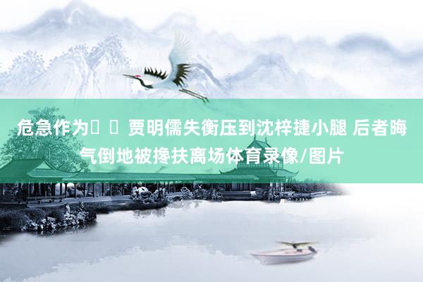 危急作为⚠️贾明儒失衡压到沈梓捷小腿 后者晦气倒地被搀扶离场体育录像/图片
