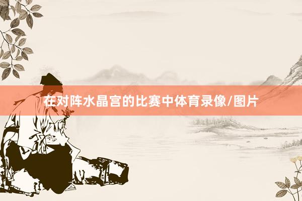 在对阵水晶宫的比赛中体育录像/图片