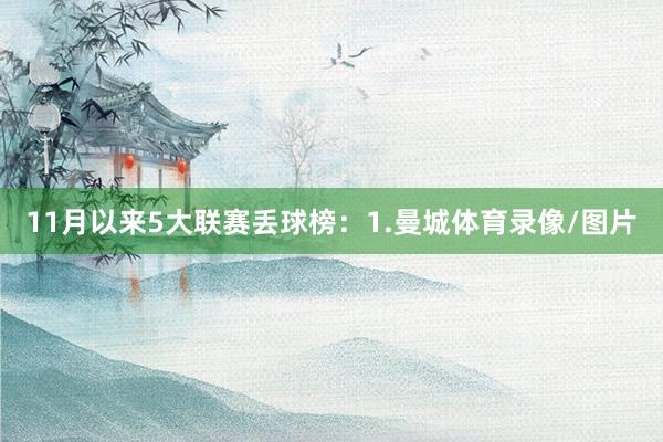 11月以来5大联赛丢球榜：1.曼城体育录像/图片