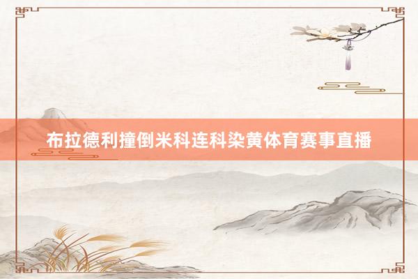 布拉德利撞倒米科连科染黄体育赛事直播