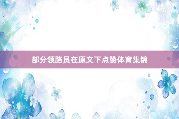 部分领路员在原文下点赞体育集锦