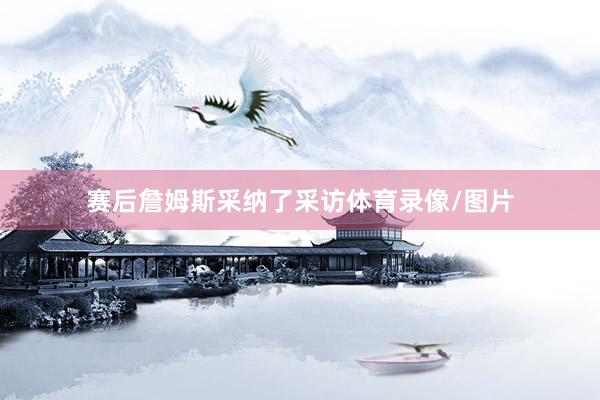 赛后詹姆斯采纳了采访体育录像/图片