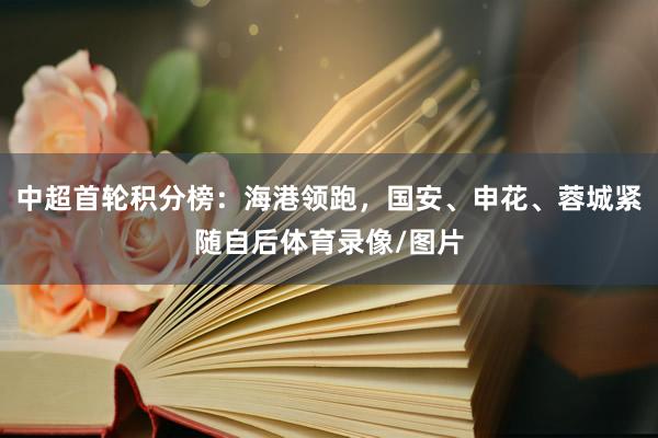 中超首轮积分榜：海港领跑，国安、申花、蓉城紧随自后体育录像/图片