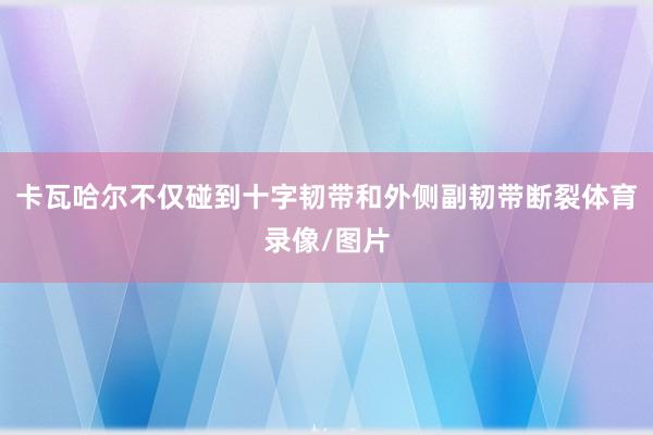 卡瓦哈尔不仅碰到十字韧带和外侧副韧带断裂体育录像/图片