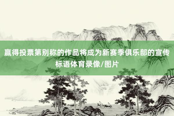 赢得投票第别称的作品将成为新赛季俱乐部的宣传标语体育录像/图片