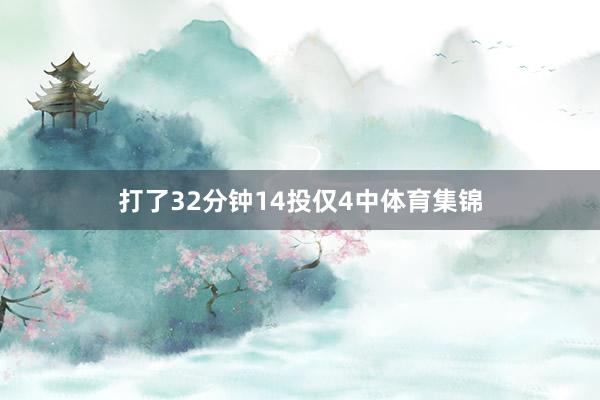 打了32分钟14投仅4中体育集锦