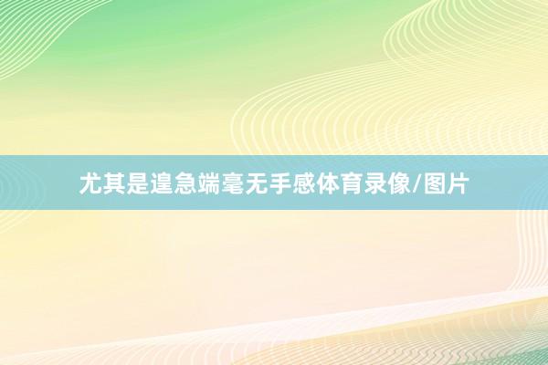 尤其是遑急端毫无手感体育录像/图片