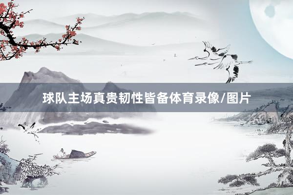 球队主场真贵韧性皆备体育录像/图片