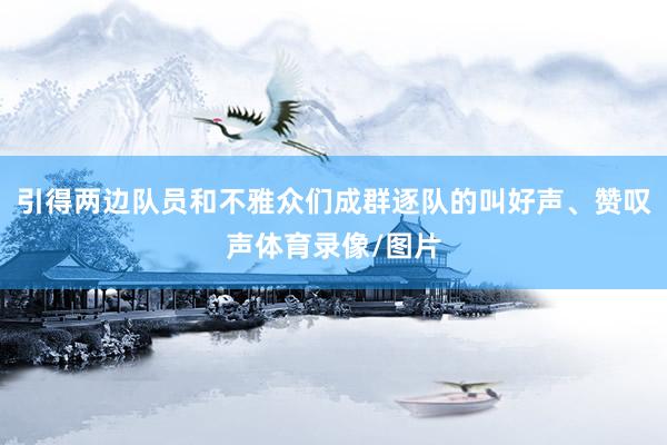 引得两边队员和不雅众们成群逐队的叫好声、赞叹声体育录像/图片