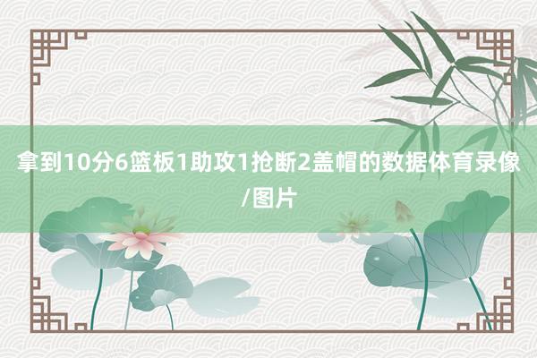 拿到10分6篮板1助攻1抢断2盖帽的数据体育录像/图片