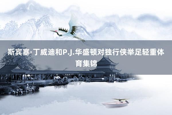 斯宾塞·丁威迪和P.J.华盛顿对独行侠举足轻重体育集锦