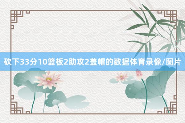 砍下33分10篮板2助攻2盖帽的数据体育录像/图片