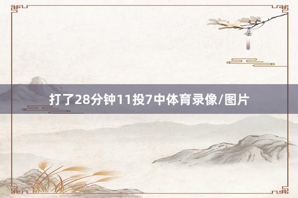 打了28分钟11投7中体育录像/图片