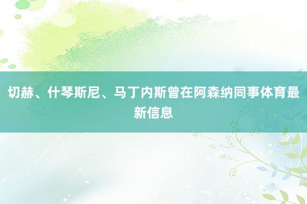 切赫、什琴斯尼、马丁内斯曾在阿森纳同事体育最新信息