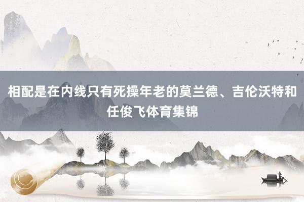 相配是在内线只有死操年老的莫兰德、吉伦沃特和任俊飞体育集锦
