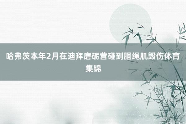 哈弗茨本年2月在迪拜磨砺营碰到腘绳肌毁伤体育集锦