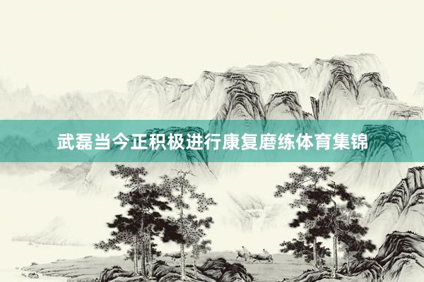 武磊当今正积极进行康复磨练体育集锦