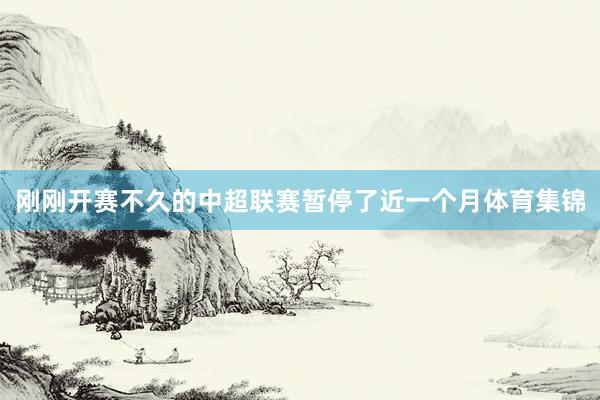 刚刚开赛不久的中超联赛暂停了近一个月体育集锦