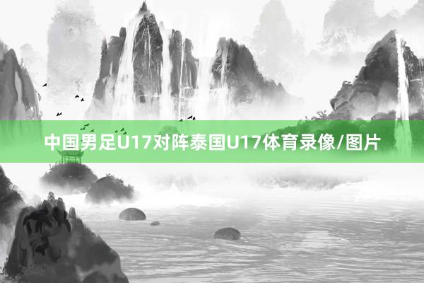 中国男足U17对阵泰国U17体育录像/图片