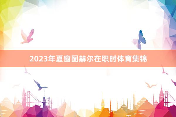 2023年夏窗图赫尔在职时体育集锦