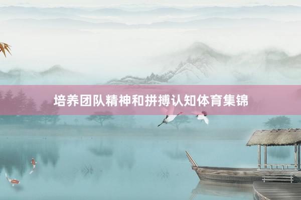 培养团队精神和拼搏认知体育集锦