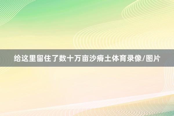 给这里留住了数十万亩沙瘠土体育录像/图片