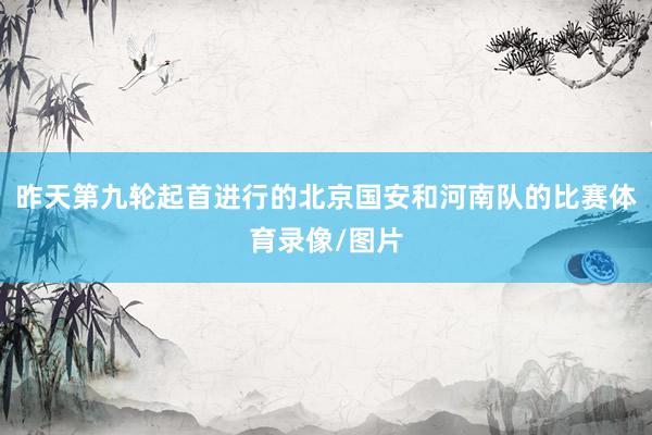 昨天第九轮起首进行的北京国安和河南队的比赛体育录像/图片