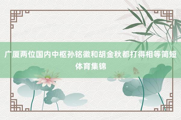 广厦两位国内中枢孙铭徽和胡金秋都打得相等简短体育集锦