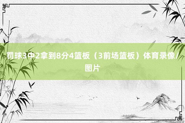 罚球3中2拿到8分4篮板（3前场篮板）体育录像/图片