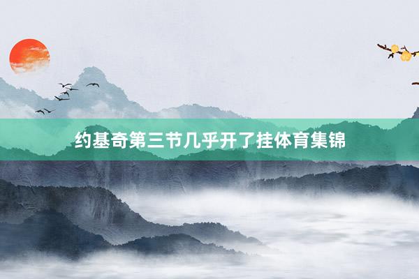 约基奇第三节几乎开了挂体育集锦