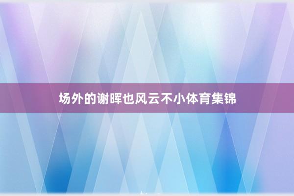 场外的谢晖也风云不小体育集锦