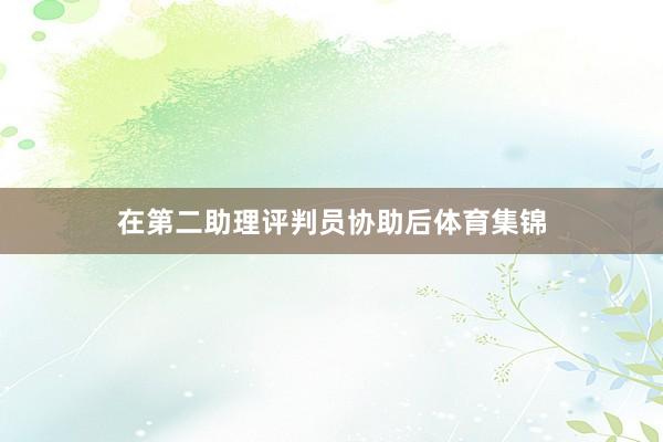 在第二助理评判员协助后体育集锦