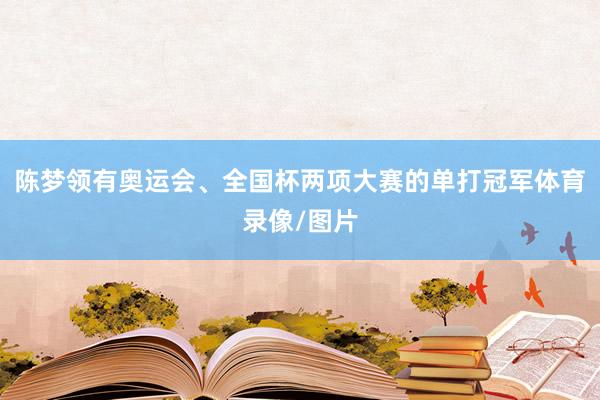 陈梦领有奥运会、全国杯两项大赛的单打冠军体育录像/图片