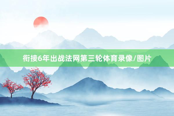 衔接6年出战法网第三轮体育录像/图片